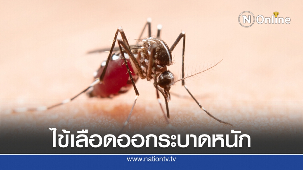 เตือนระวัง "ไข้เลือดออก" ปีนี้ป่วยแล้วเฉียด 60,000 คน!