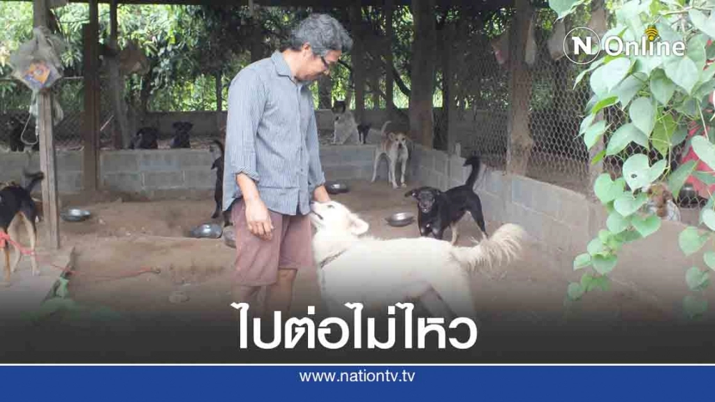 วอนหาบ้านใหม่ให้สุนัขจร หลังแบกรับไม่ไหว