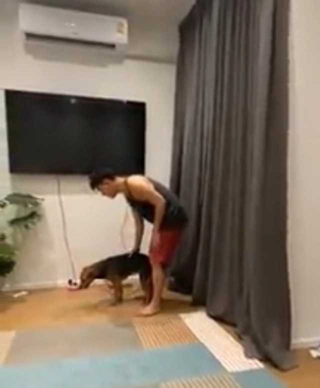 ชาวเน็ตแห่แชร์คลิป หนุ่มไปกินหมูกระทะ สร้างวีรกรรมสุดฮากับน้องหมาตัวนี้