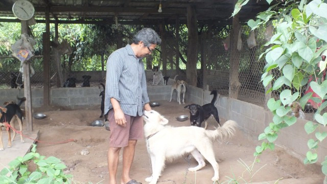 วอนหาบ้านใหม่ให้สุนัขจร หลังแบกรับไม่ไหว