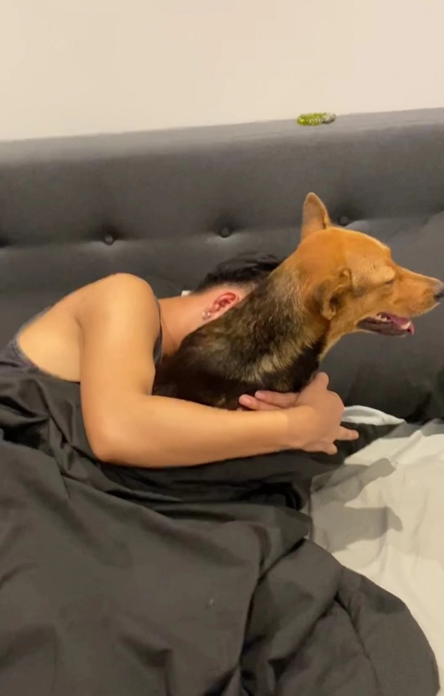 ชาวเน็ตแห่แชร์คลิป หนุ่มไปกินหมูกระทะ สร้างวีรกรรมสุดฮากับน้องหมาตัวนี้