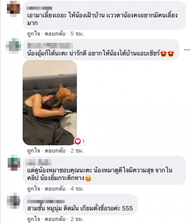 ชาวเน็ตแห่แชร์คลิป หนุ่มไปกินหมูกระทะ สร้างวีรกรรมสุดฮากับน้องหมาตัวนี้