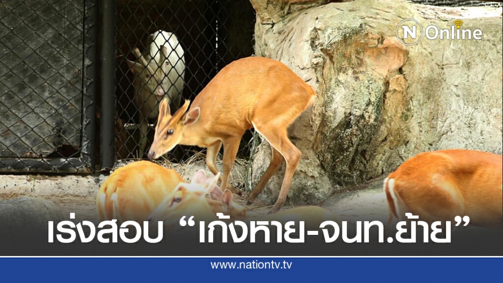 เร่งรวบรวมพยานคลี่คลายปม "เก้งเผือก" หาย เร็วที่สุด