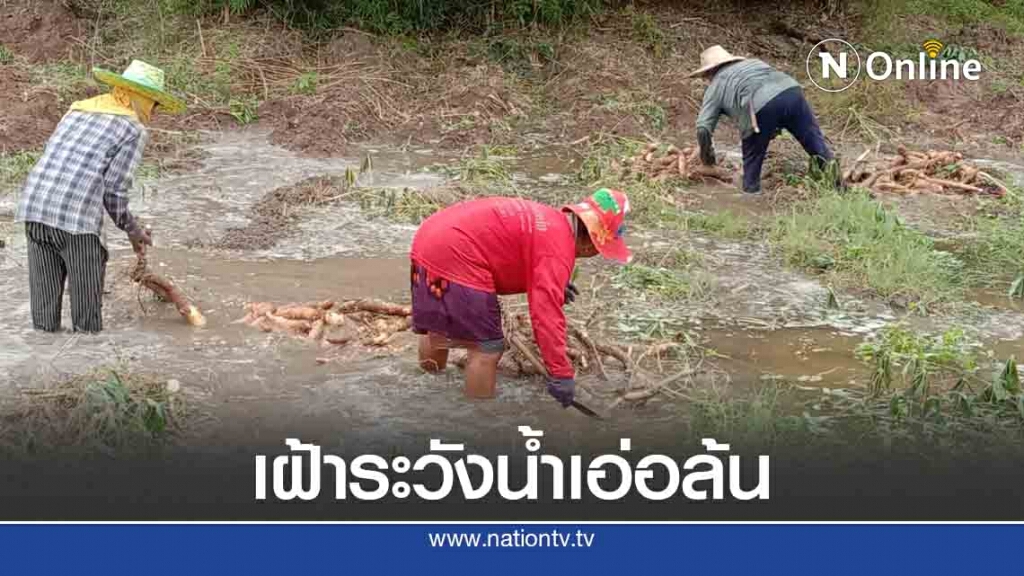 ลำน้ำหลายสายเพิ่มสูงเอ่อล้นท่วมบ้านเรือน พื้นที่การเกษตร ลำน้ำหลายสายเพิ่มสูงเอ่อล้นท่วมบ้านเรือน พื้นที่การเกษตร