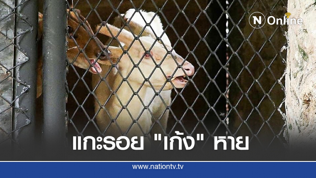 ส่องปมเดือดยิง 2 ศพสวนสัตว์สงขลาโยงขบวนการค้าสัตว์ป่า