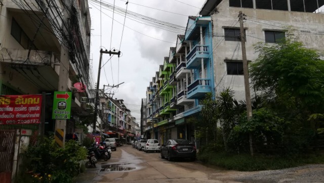 ทน.พิษณุโลก สั่งห้ามใช้อาคาร-ดัดแปลงเลี้ยงนกนางแอ่น
