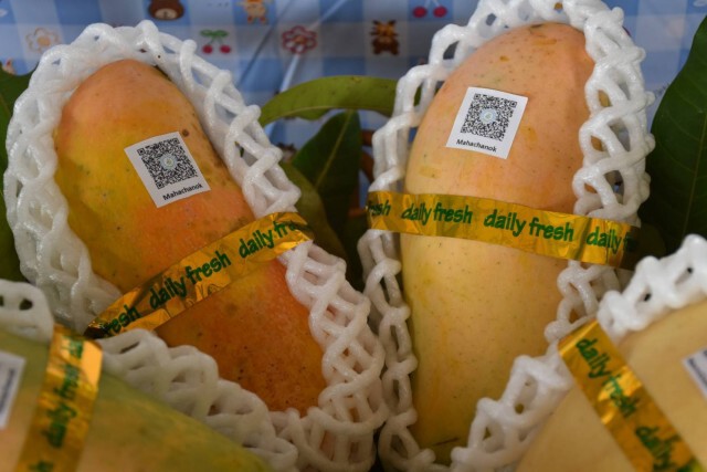 ปั้นแบรนด์ "D Fruit Farm" เพื่อส่งออก