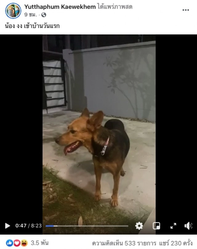 ล่าสุด หนุ่มเมาหนักอุ้มหมาร้านหมูกระทะกลับบ้าน รับผิดชอบสิ่งที่ตนเองทำแล้ว