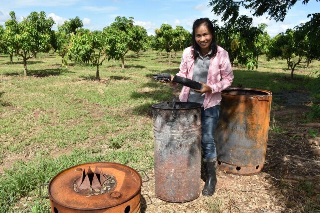 ปั้นแบรนด์ "D Fruit Farm" เพื่อส่งออก