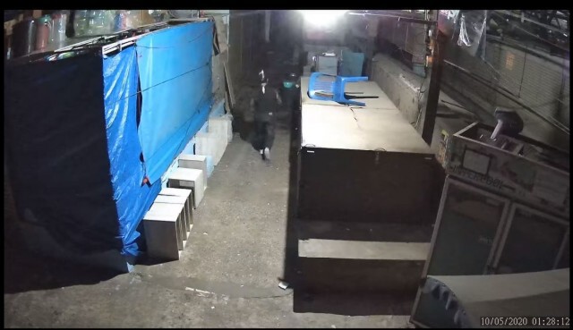 เจ้าของร้านสุดทนโพสต์คลิปสาวแอบถ่ายทุกข์กลางตลาด