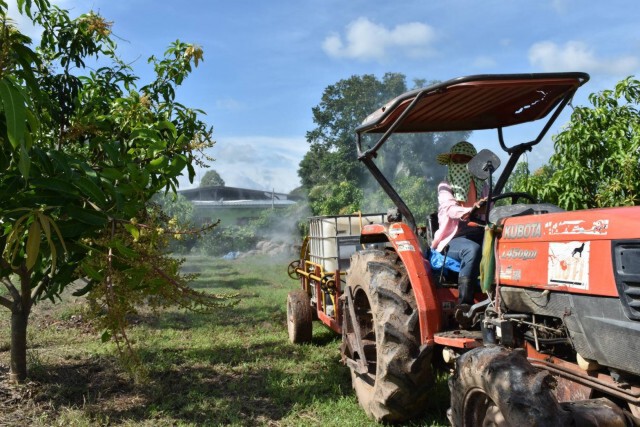 ปั้นแบรนด์ "D Fruit Farm" เพื่อส่งออก