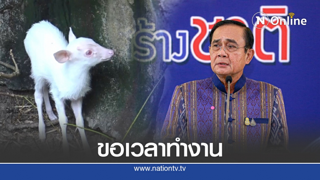 นายกฯกำชับเร่งหาสาเหตุเก้งเผือกหาย นายกฯกำชับเร่งหาสาเหตุเก้งเผือกหาย
