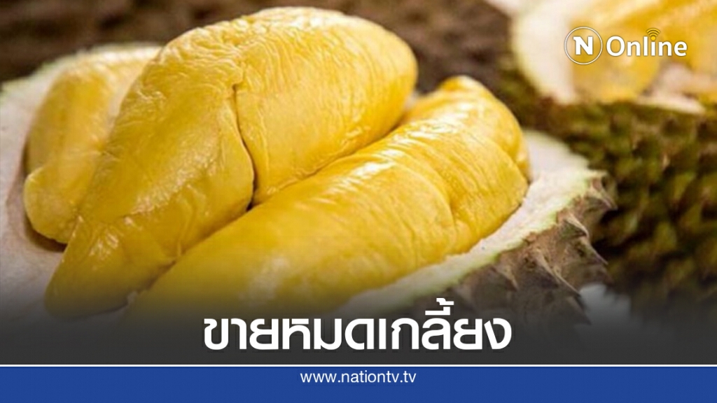ชาวจีนแห่ซื้อทุเรียนมาเลย์ 3 แสนลูกหมดใน 1 ชม. ชาวจีนแห่ซื้อทุเรียนมาเลย์ 3 แสนลูกหมดใน 1 ชม.