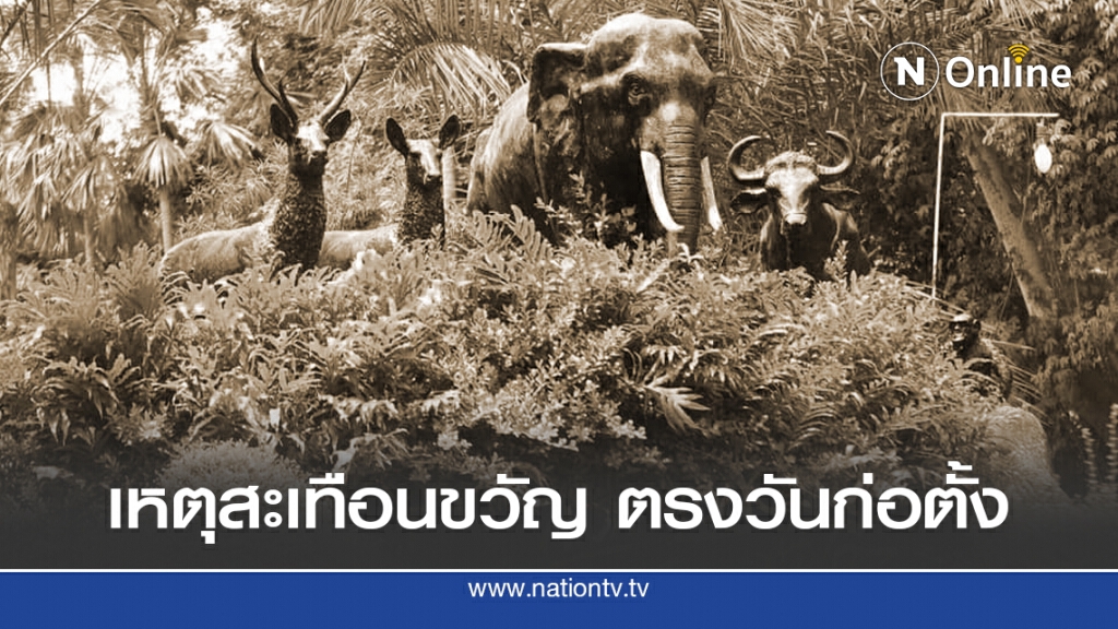 เหตุสะเทือนใจสวนสัตว์สงขลา ตรงวันเปิดตัว 3 ต.ค.2541 เหตุสะเทือนใจสวนสัตว์สงขลา ตรงวันเปิดตัว 3 ต.ค.2541