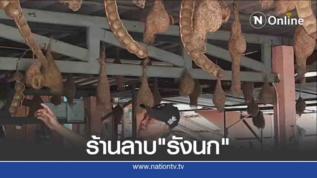 ไอเดียเก๋! ร้านลาบ นำ"รังนก"ประดับเรียกลูกค้า ไอเดียเก๋! ร้านลาบ นำ"รังนก"ประดับเรียกลูกค้า