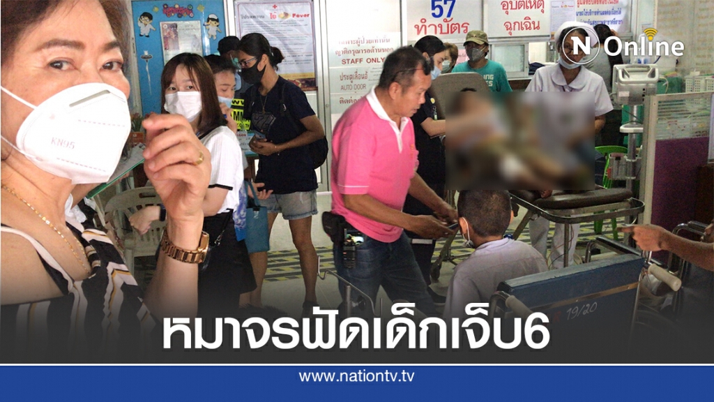 โกลาหล! สุนัขจรจัดไล่กัดเด็กนักเรียนเจ็บ 6 คน ชาวบ้านอีก 3