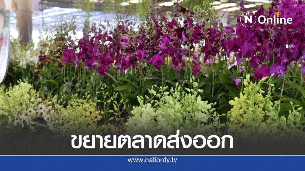 พาณิชย์หนุนกล้วยไม้ไทยใช้ประโยชน์ FTA ขยายส่งออก