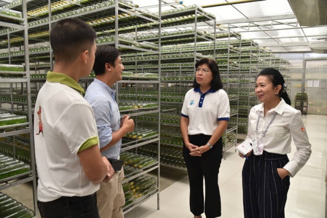 พาณิชย์หนุนกล้วยไม้ไทยใช้ประโยชน์ FTA ขยายส่งออก