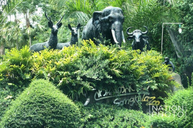 เหตุสะเทือนใจสวนสัตว์สงขลา ตรงวันเปิดตัว 3 ต.ค.2541