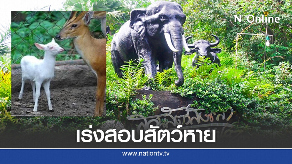 ตั้ง 6 อรหันต์ ชำแหละสวนสัตว์สงขลา