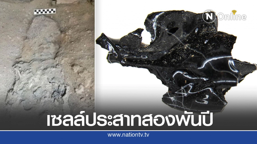 พบเซลล์ประสาทหนุ่มโรมันอายุ 2 พันปีสภาพสมบูรณ์ พบเซลล์ประสาทหนุ่มโรมันอายุ 2 พันปีสภาพสมบูรณ์