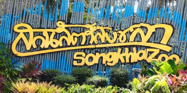 ตั้ง 6 อรหันต์ ชำแหละสวนสัตว์สงขลา