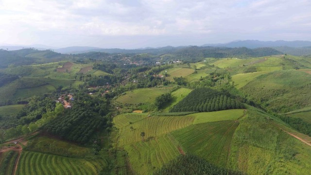 เปิดท่องเที่ยว"บ้านน้ำจวง"-ชมนาขั้นบันไดที่เนินสองเต้า