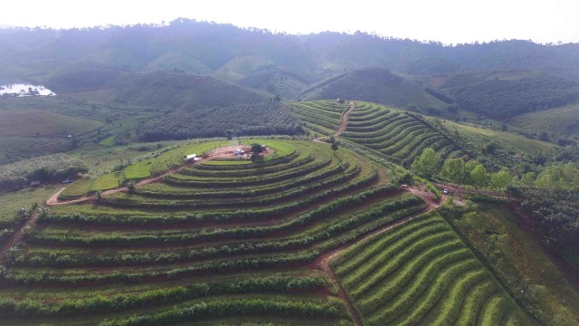 เปิดท่องเที่ยว"บ้านน้ำจวง"-ชมนาขั้นบันไดที่เนินสองเต้า