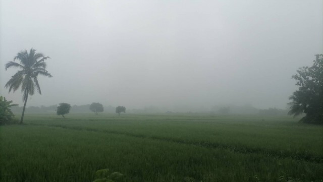 หมอกปกคลุม"ลำปาง"-สัญญาณปลายฝนต้นหนาว