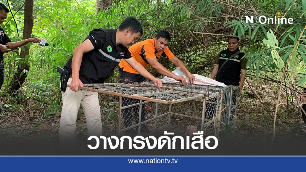 จนท.วางกรงดักเสือ หลังชาวบ้านผวาพบรอยเท้า จนท.วางกรงดักเสือ หลังชาวบ้านผวาพบรอยเท้า