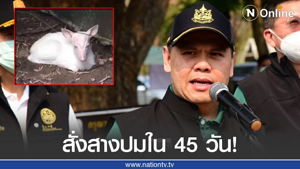 "วราวุธ" สั่งตั้งกก.สอบปม "เก้งเผือก" ให้แล้วเสร็จภายใน 45 วัน "วราวุธ" สั่งตั้งกก.สอบปม "เก้งเผือก" ให้แล้วเสร็จภายใน 45 วัน