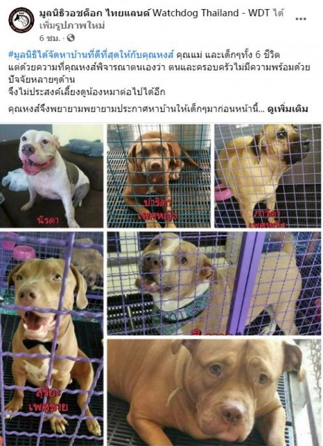 วอชด๊อกประกาศหาผู้อุปการะหลังเจ๊หงส์เทลูกทั้ง6ตัว