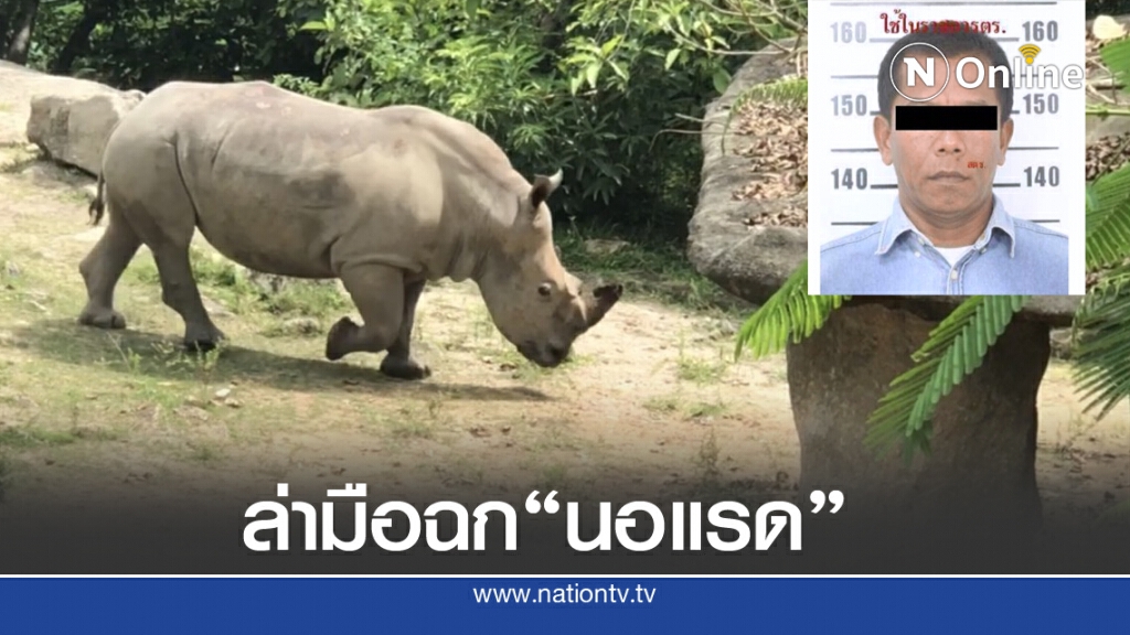 ตำรวจเร่งล่าผู้ต้องหาขโมย "นอแรด" ตำรวจเร่งล่าผู้ต้องหาขโมย "นอแรด"