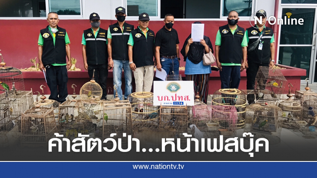 บุกรวบหญิงค้าสัตว์ป่าคุ้มครองทางเฟสบุ๊ก บุกรวบหญิงค้าสัตว์ป่าคุ้มครองทางเฟสบุ๊ก