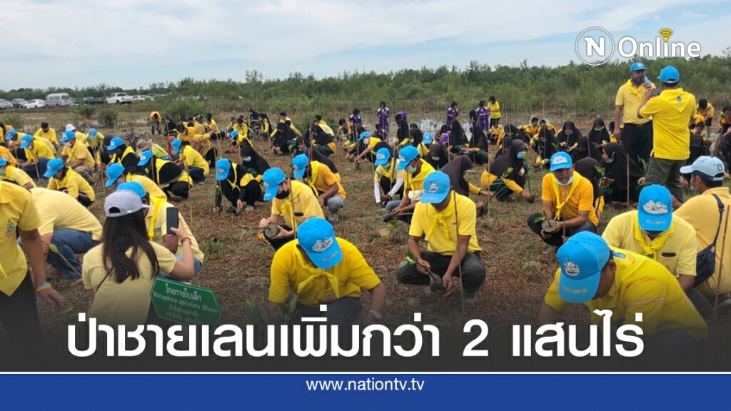 คนไทยเฮ! "วราวุธ" เผย ป่าชายเลนเพิ่มกว่า 2 แสนไร่