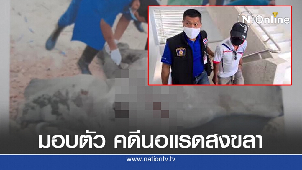 ผู้ต้องหาขโมยนอแรด สวนสัตว์สงขลาโผล่มอบตัว หลังหายตัว 8 ปี ผู้ต้องหาขโมยนอแรด สวนสัตว์สงขลาโผล่มอบตัว หลังหายตัว 8 ปี