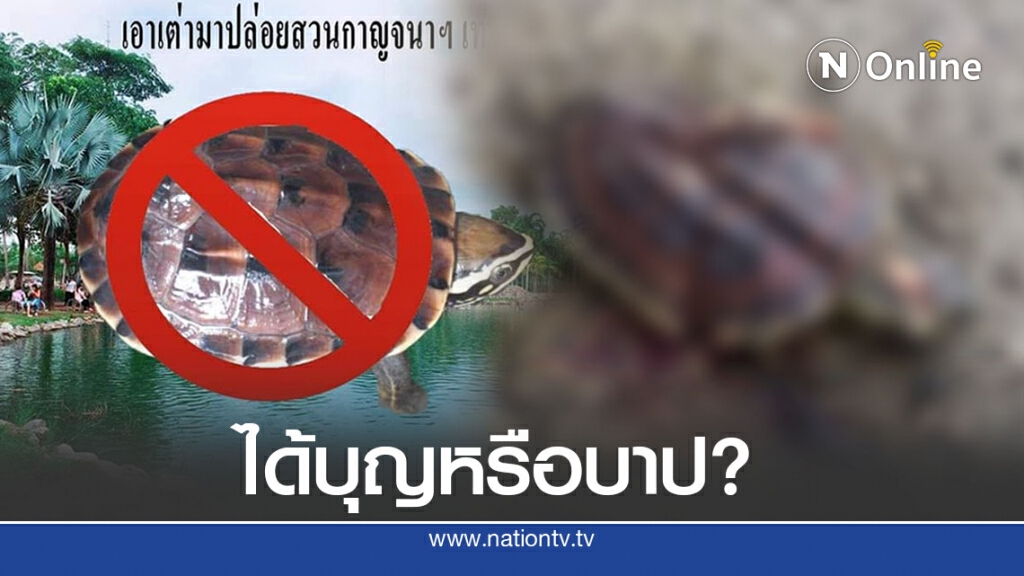 หนุ่มวอนขอ งดปล่อยเต่าในสวน หลังเห็นสภาพสุดสลด หดหู่ หนุ่มวอนขอ งดปล่อยเต่าในสวน หลังเห็นสภาพสุดสลด หดหู่