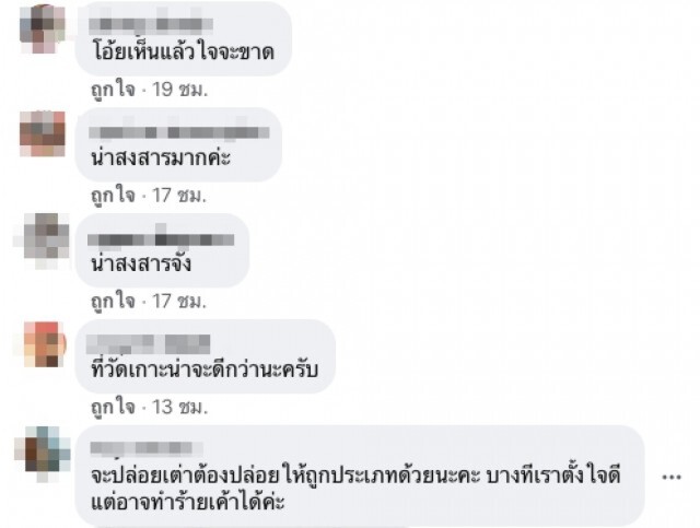 หนุ่มวอนขอ งดปล่อยเต่าในสวน หลังเห็นสภาพสุดสลด หดหู่