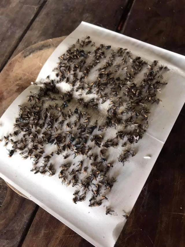 ร้องฟาร์มแพะสร้างความเดือดร้อนจุดควันไฟกระทบเพื่อนบ้าน