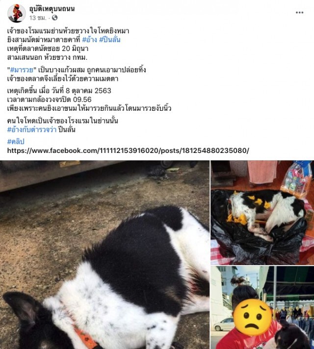 เจ้าของโรงแรมใจโหด ยิงสุนัข 3 นัดดับคาที่ อ้างปืนลั่น!