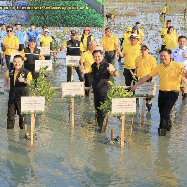 คนไทยเฮ! "วราวุธ" เผย ป่าชายเลนเพิ่มกว่า 2 แสนไร่