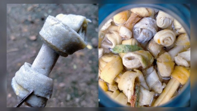 อ.เจษฏ์ เตือนภัย!! ให้น้องหมากินกระดูกปลอมสุดอันตราย ถึงชีวิตได้