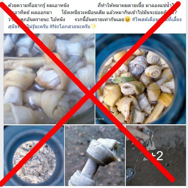 อ.เจษฏ์ เตือนภัย!! ให้น้องหมากินกระดูกปลอมสุดอันตราย ถึงชีวิตได้