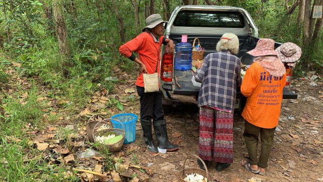 ชาวบ้านต่างถิ่นยังเข้าป่าหาเห็ดไม่รู้ว่ามีเสือ