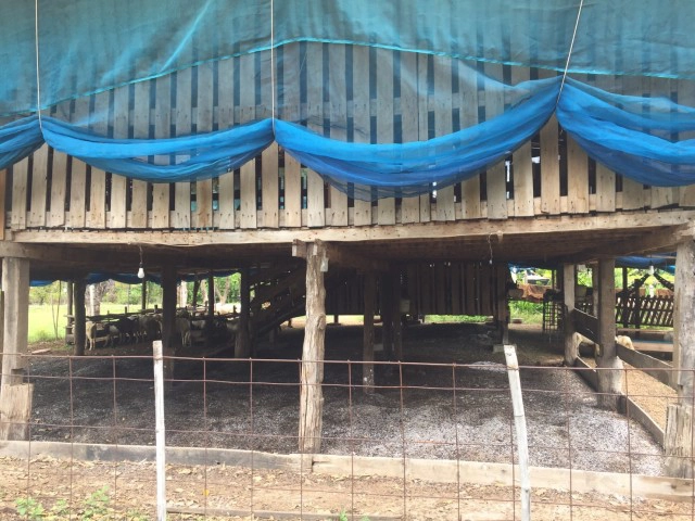 ร้องฟาร์มแพะสร้างความเดือดร้อนจุดควันไฟกระทบเพื่อนบ้าน