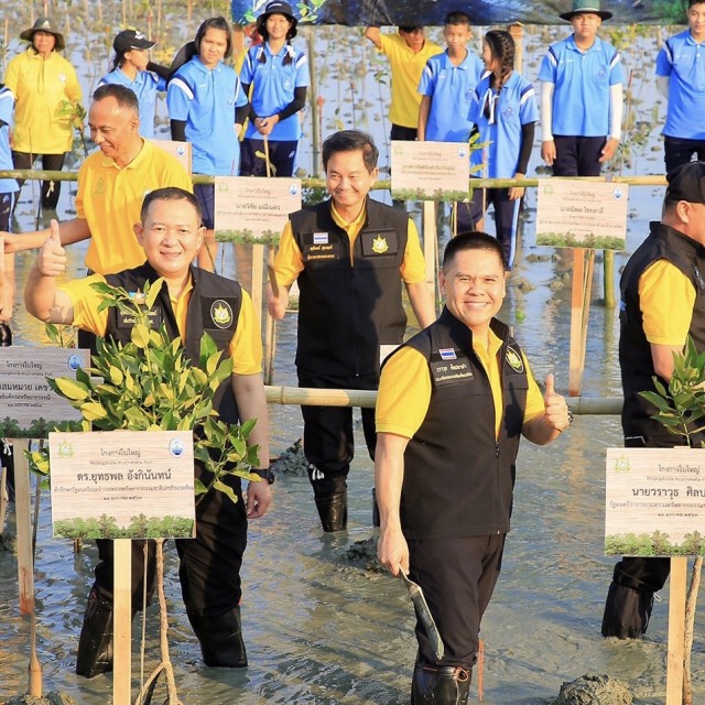 คนไทยเฮ! "วราวุธ" เผย ป่าชายเลนเพิ่มกว่า 2 แสนไร่