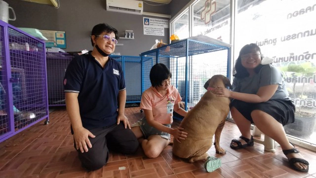 เจ๊หงส์ ขอน้องหมาพิทบูลกลับไปเลี้ยง 1 ตัว