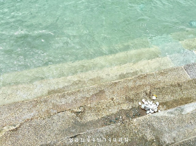 โซเชียลฮือฮา "หาดบางแสน" น้ำทะเลใสแจ๋ว ไขข้อสงสัย ทำไมถึงน้ำใสหน้าหนาว