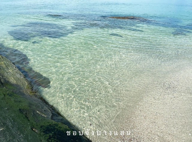 โซเชียลฮือฮา "หาดบางแสน" น้ำทะเลใสแจ๋ว ไขข้อสงสัย ทำไมถึงน้ำใสหน้าหนาว