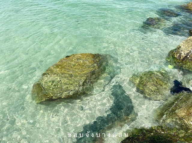 โซเชียลฮือฮา "หาดบางแสน" น้ำทะเลใสแจ๋ว ไขข้อสงสัย ทำไมถึงน้ำใสหน้าหนาว
